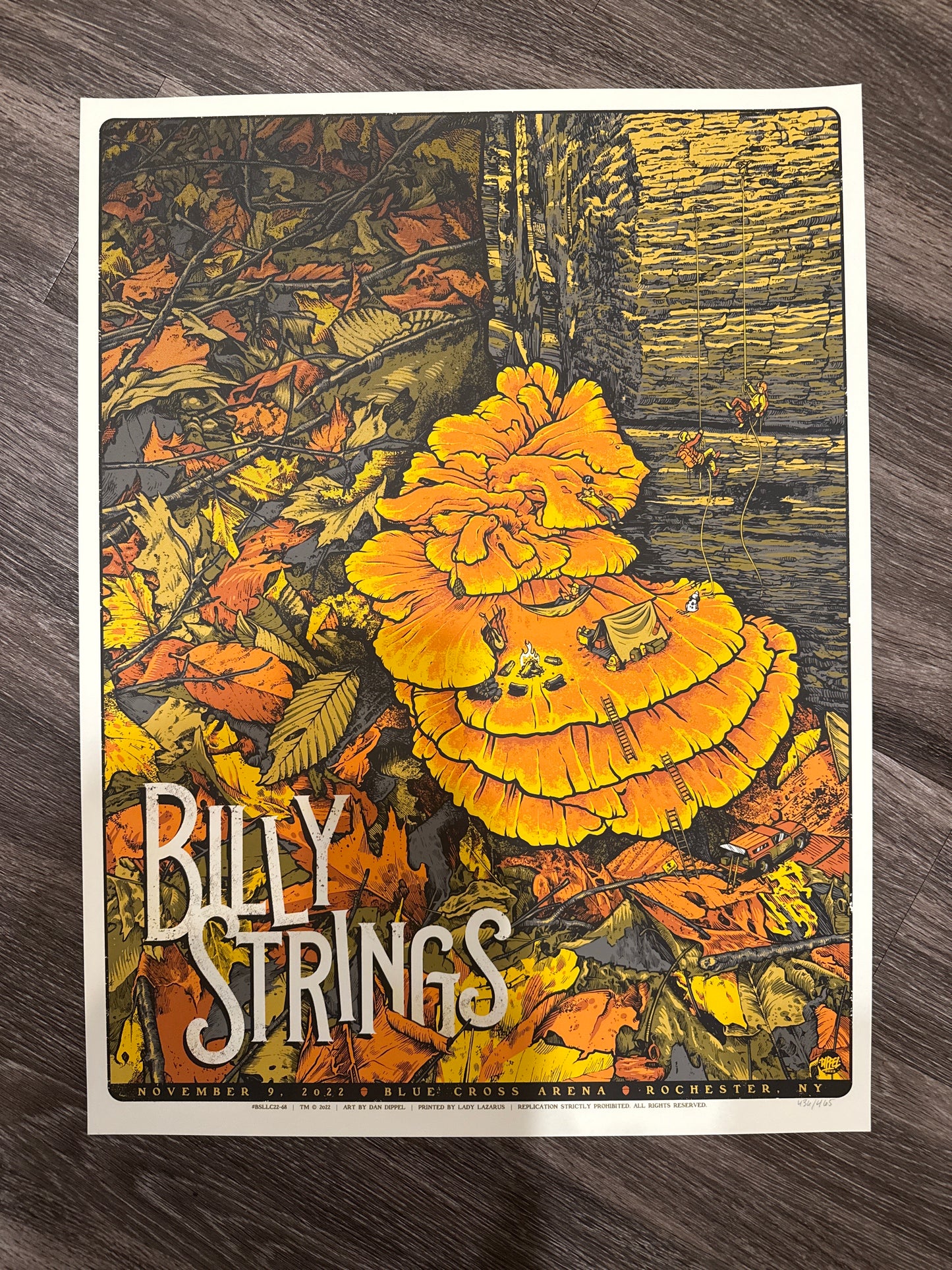 Billy Strings ROCHESTER poster